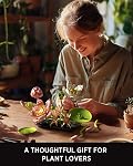 Nifeliz Lotus Flower Building Set for Adults, Botanical Decoration for Table or Office, A Nature-Inspired Gift for Plant Lovers and Garden Enthusiasts (506 PCS, NF10334)