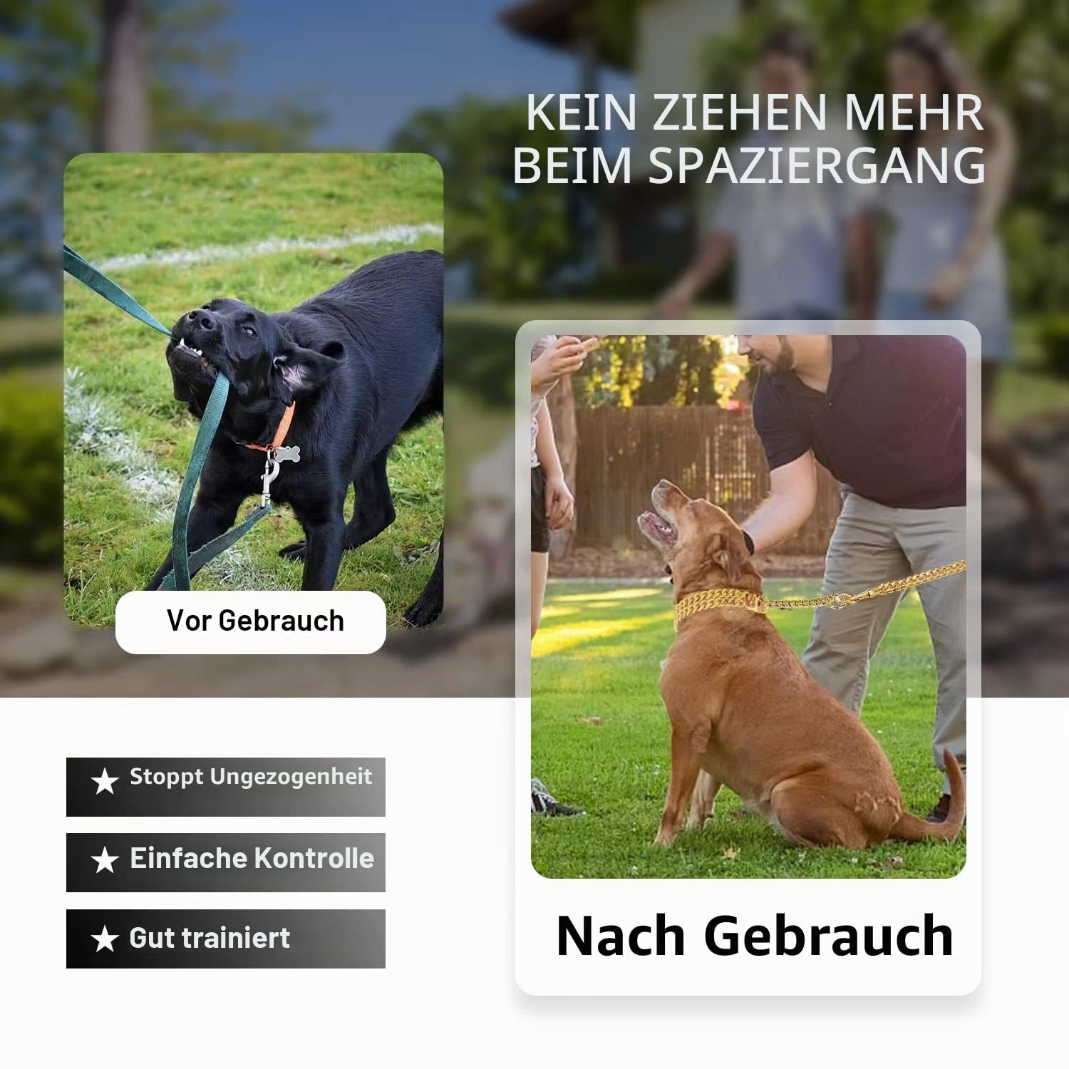 Goldfarbenes Hundehalsband, Edelstahl, 18-karätiges Gold, verstellbares Gehen, Metall, Cuban Link Panzerkette, kaufest, Zweireihige Kette, für große, kleine, mittelgroße Hunde, 30,5–40,6 cm, 18 Karat