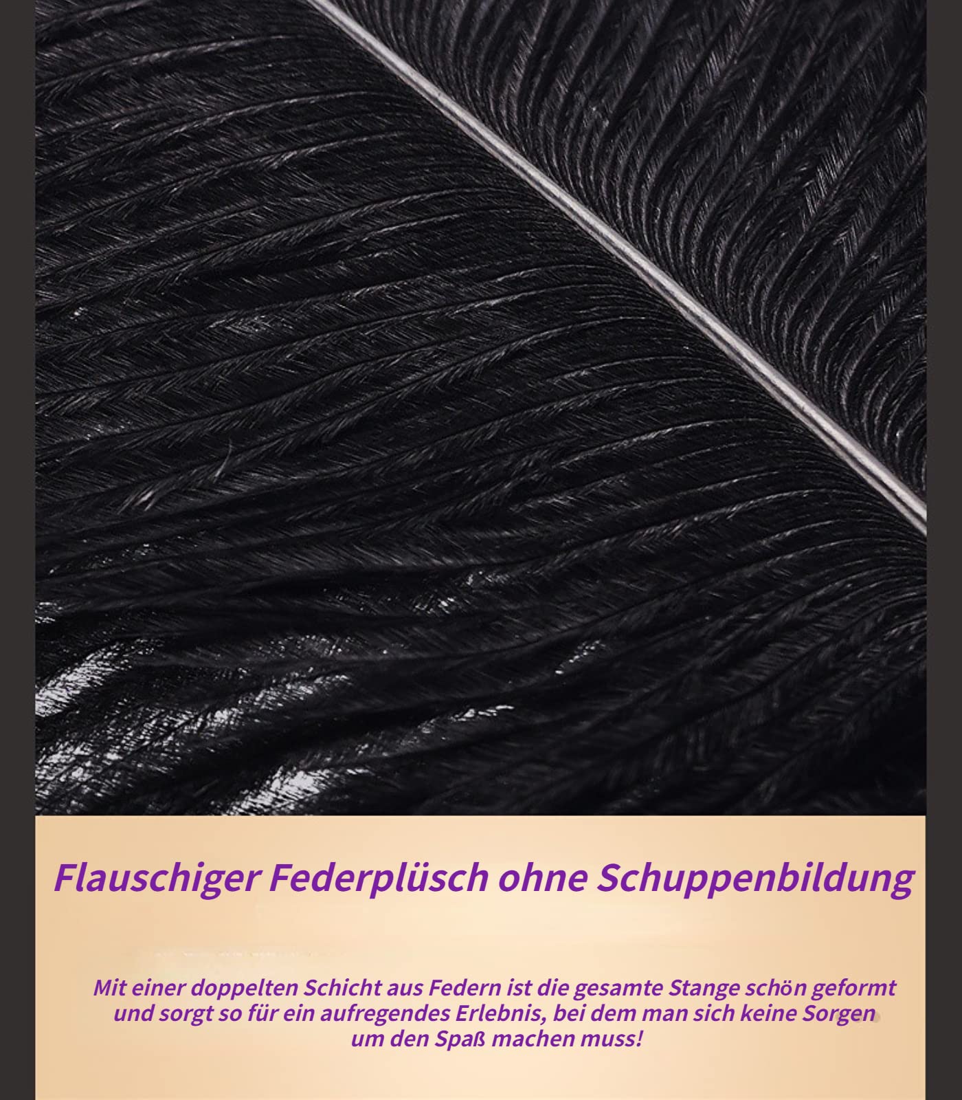 sexspielzeug feder Bad Kitty Feder schwarz main image 0