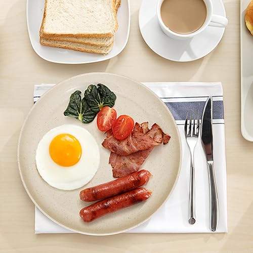 Miniatura 2 de SHECIPIN Juego de 12 platos de paja de trigo, platos de plástico de 9 pulgadas, platos ligeros de paja de trigo, para niños y adultos, platos de