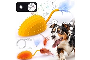 Mity Rain Remote Control Interactive Dog Toy