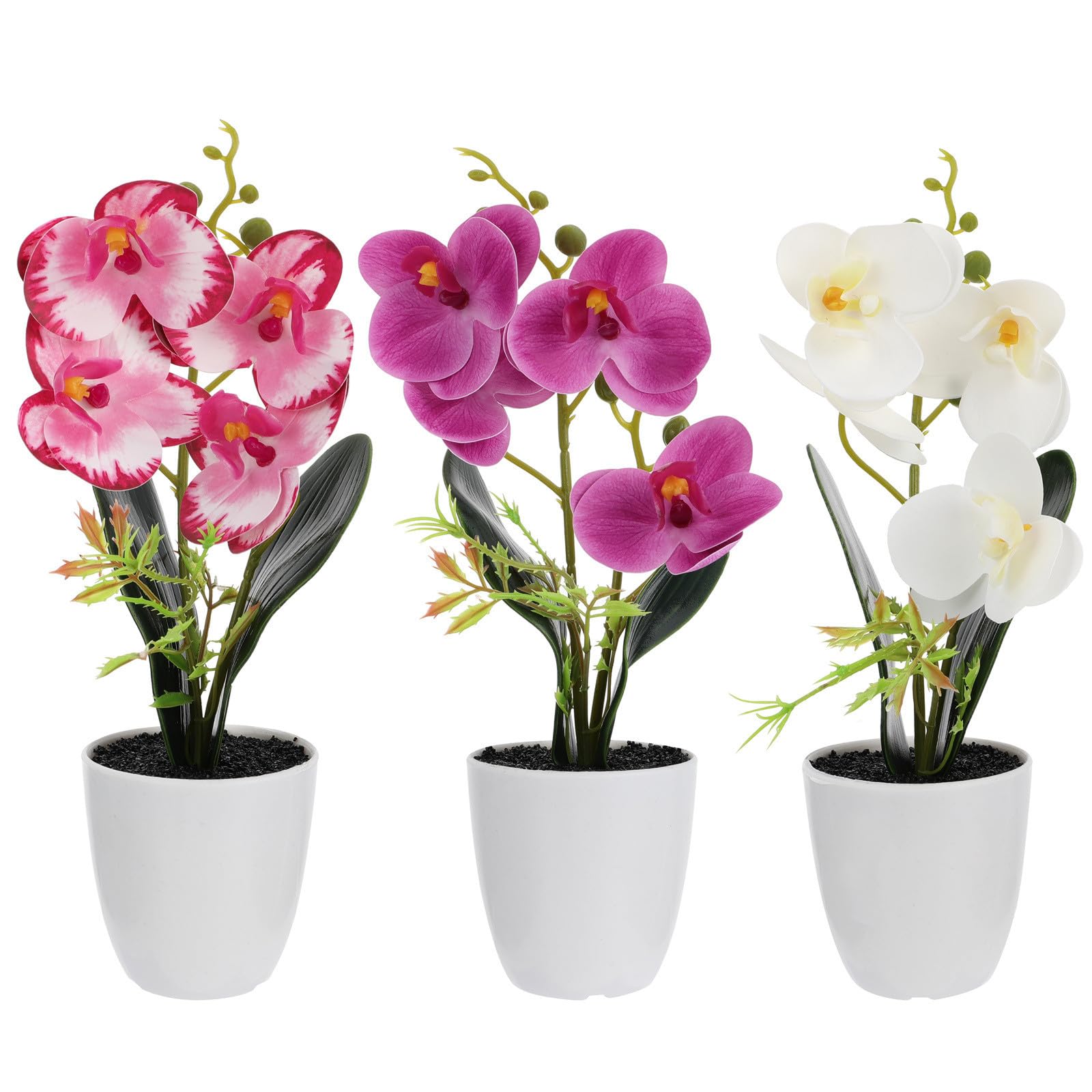 Bonsaï artificiel phalaenopsis Healvian pour reverdir les pièces sombres
