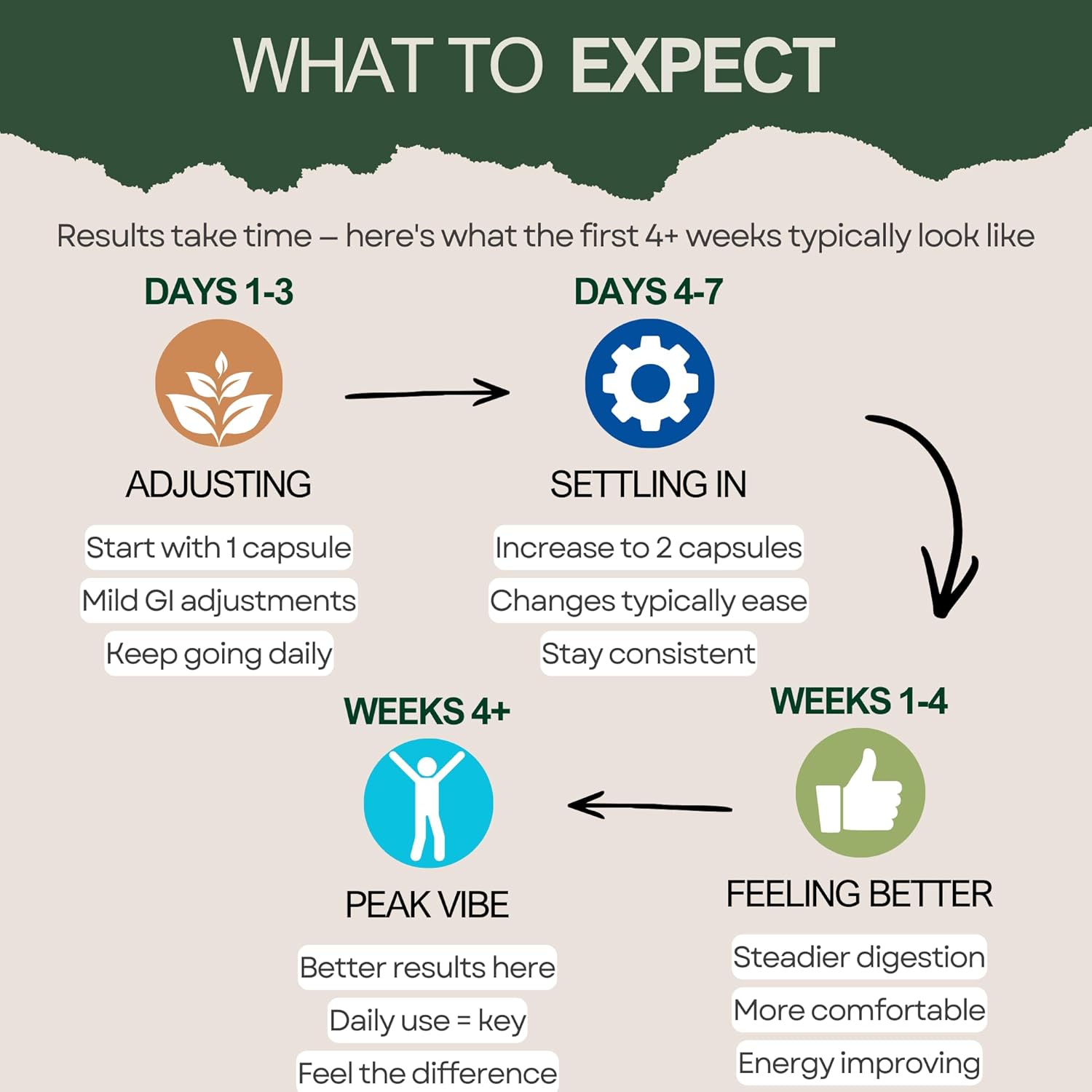 GutVibe Saccharomyces Boulardii, Bacillus Subtilis, Bifidobacterium Infantis, Lactobacillus Acidophilus Probiotic - 22 Billion CFU – Gut, Digestion & Healthy Bowel Support - 60 Capsules, 30-Day Supply