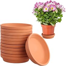 Lnrueg 12 Pcs الطين وعاء صحون النبات، 4.5 بوصة أطباق وعاء زهرة، دائم وصواني النبات أكثر سمكا، أطباق الطين الأحمر وعاء للنباتات في الهواء الطلق في الأماكن المغلقة