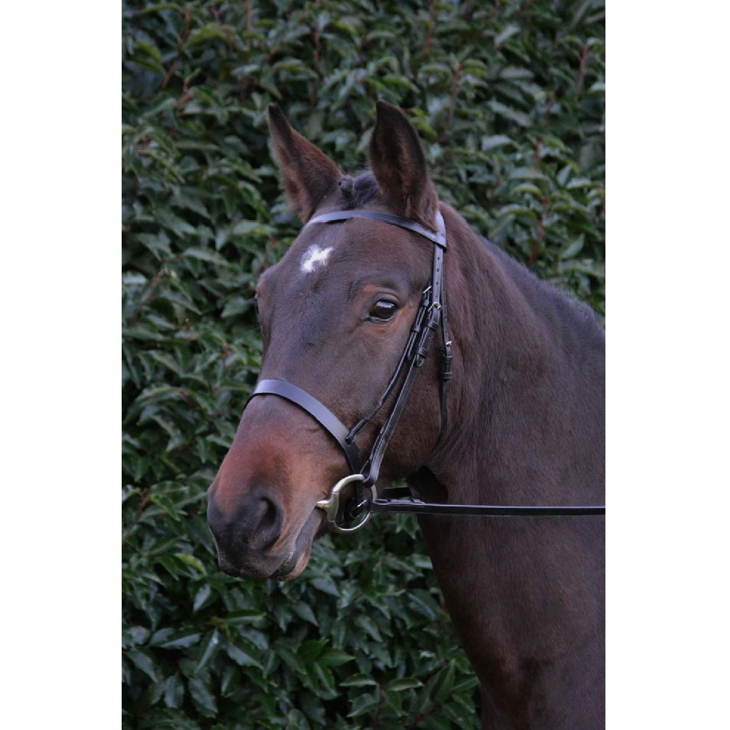 H&Y Hy Hunter with Rubber Grip Reins Snaffle Bridle Full Size Brown