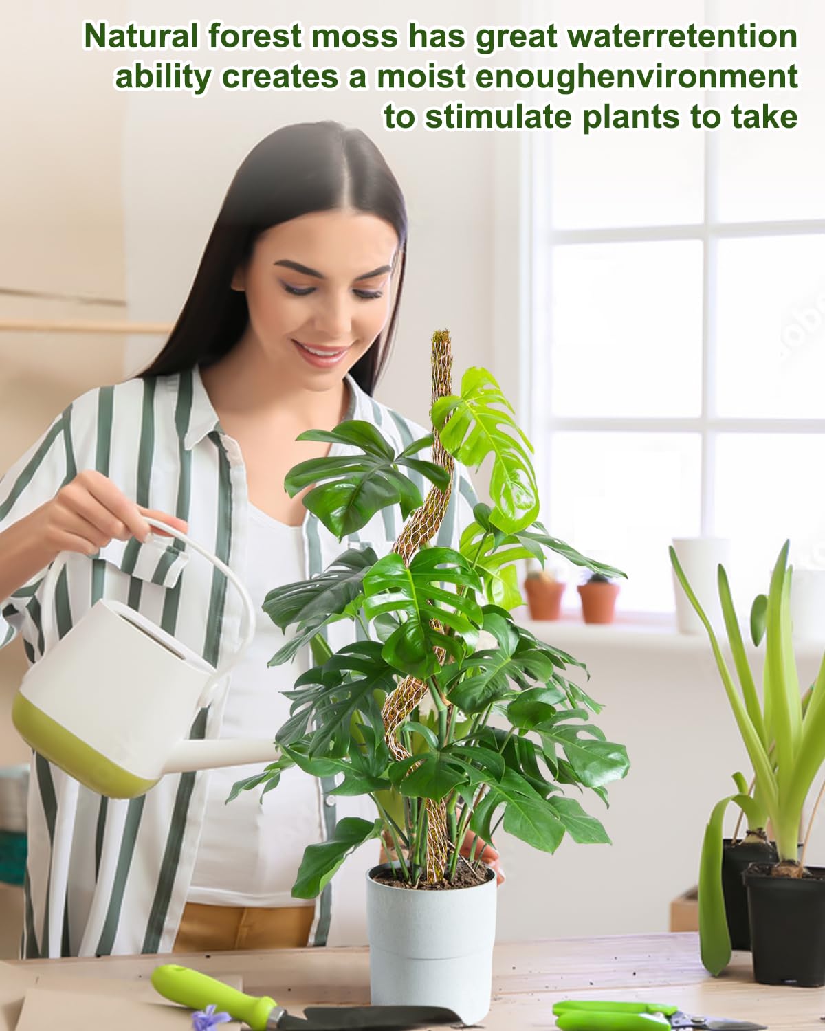 Amazon.com : YEEIHAO Moss Pole 2 Pack 30inch Moss Pole Monstera Plant  Support Bendable Moss Pole for Plants Tall Plant Moss Pole,Moss Pole for  Plants Indoor,Monstera Moss Pole : Patio, Lawn &