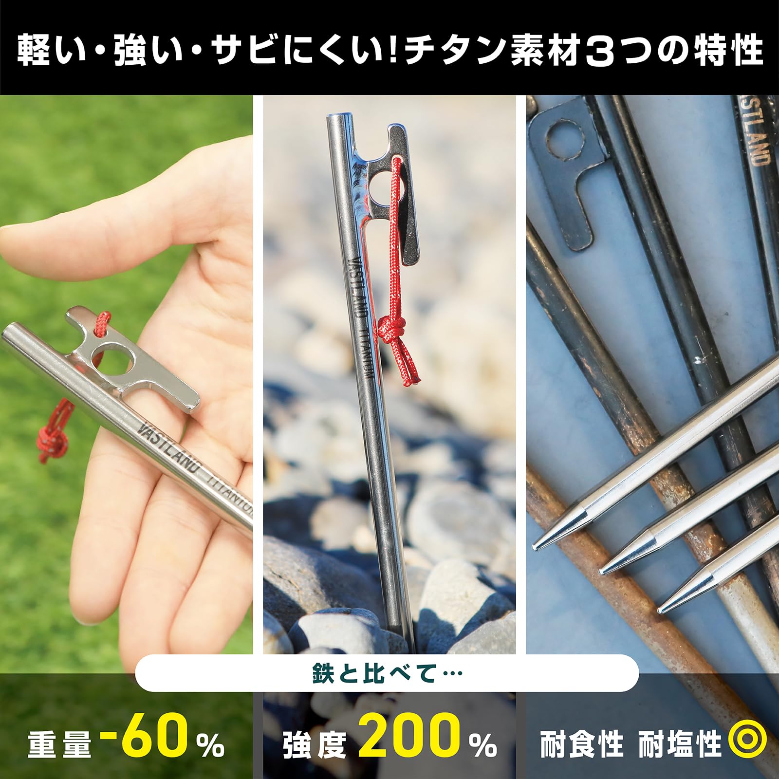 Amazon.co.jp: ヴァストランド VASTLAND チタンペグ 20cm 6本セット