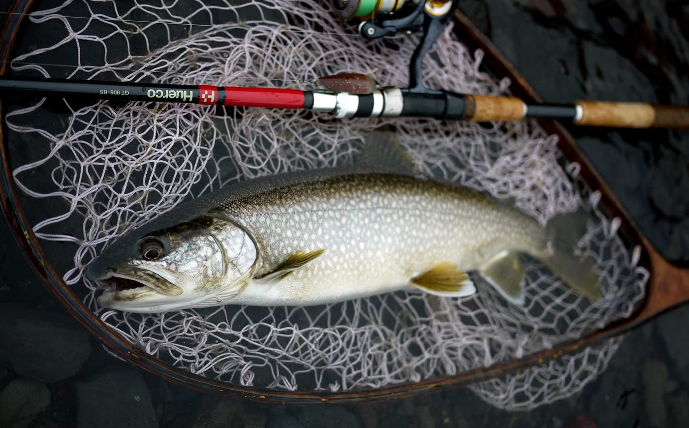 Amazon | Huerco フィッシングロッド GT906-6S / スピニングモデル