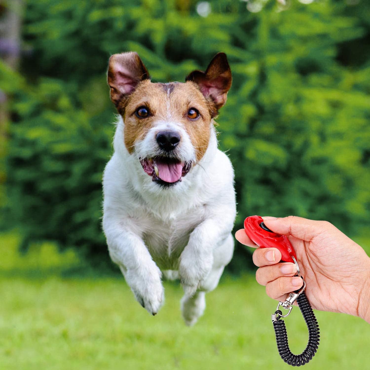 MaoXinTek Clicker per Cani Fischietto Con Cinturino Per l’Addestramento Del Proprio Cane, 4 Pezzi Animale Domestico Clickers Addestrare Il Tuo Amico Cuccioli Gatti Uccelli, Pulsante Clicker