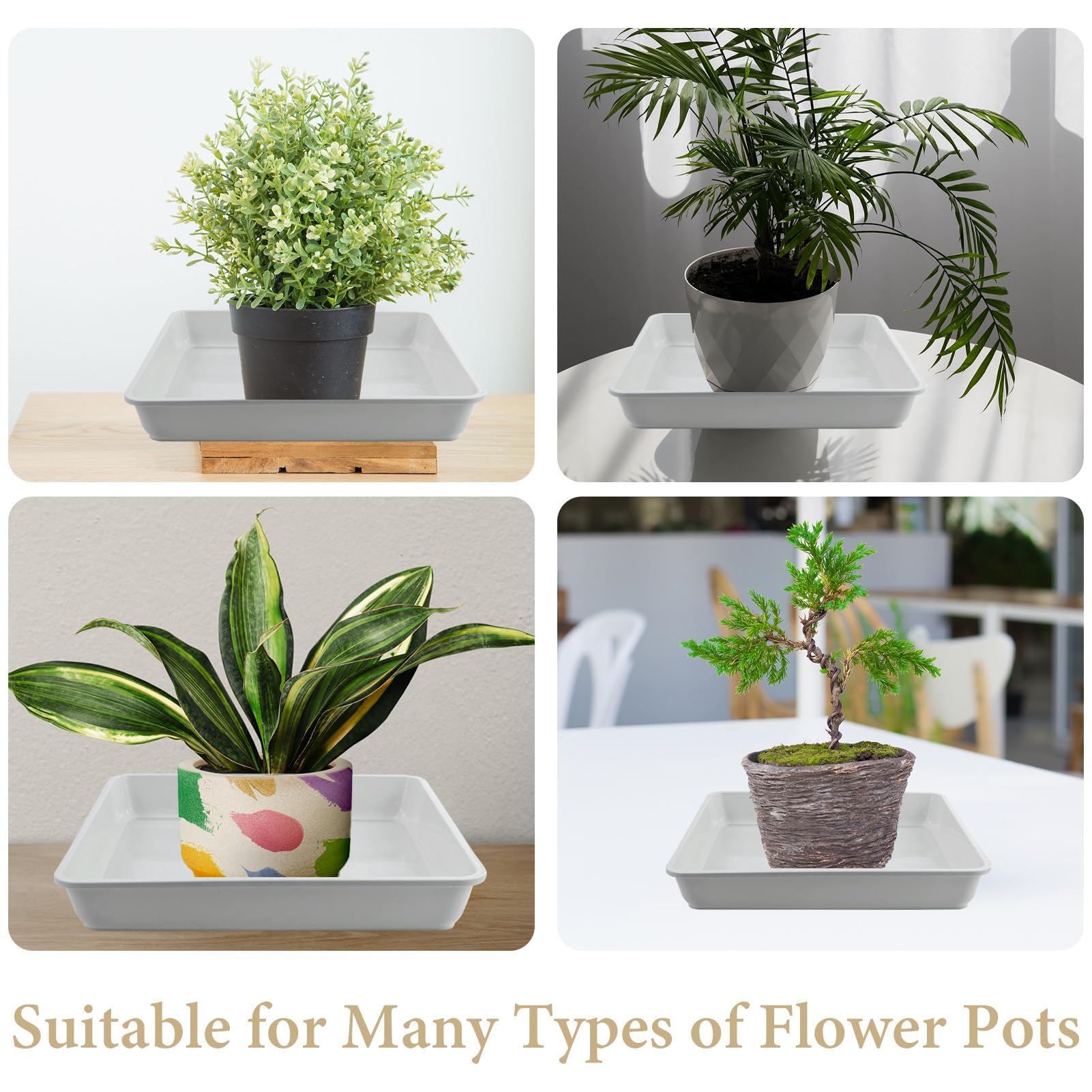 Lot De 2 Soucoupes Carrées En Plastique 22,5 Cm - Plateaux De Réception Pour Pots De Fleurs, Blanc