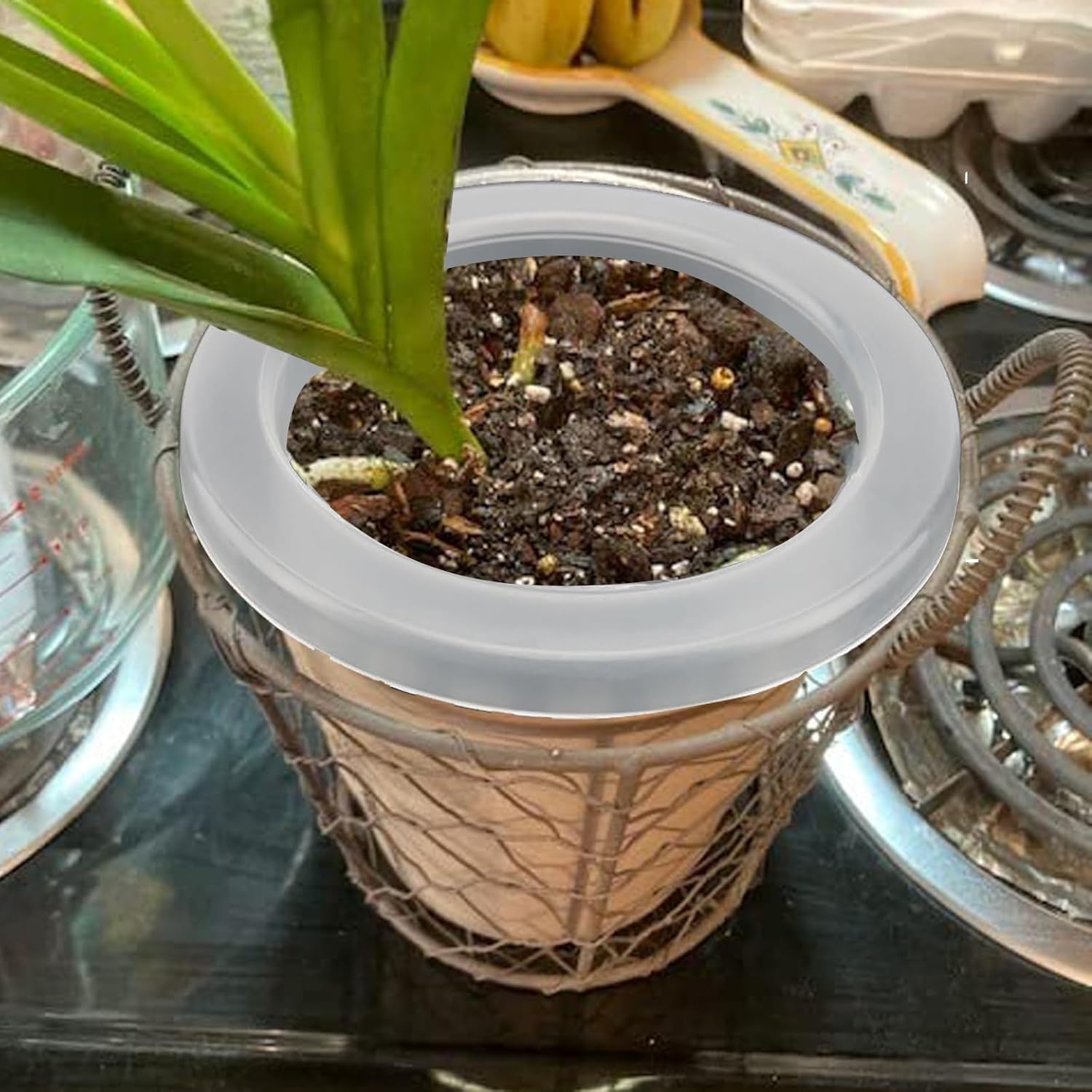 JOIKIT 50 Pack 4 Inch Plastic Net Cups Pots, Hydroponics Growing Net Pots, Garden Slotted Mesh Net Cups for Hydroponics Aquaponics Orchids, Clear