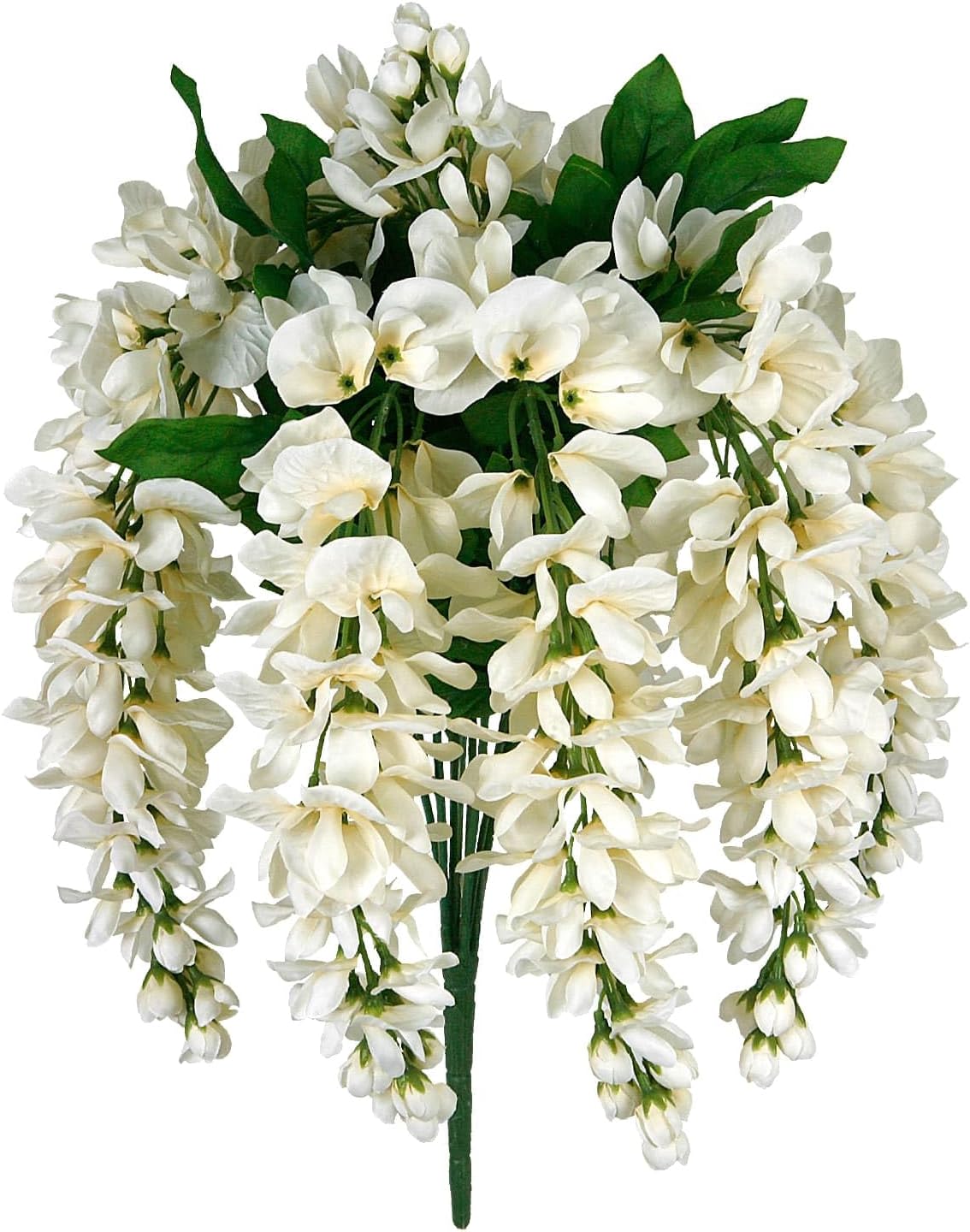 Ashland 17" Cream Wisteria Bush
