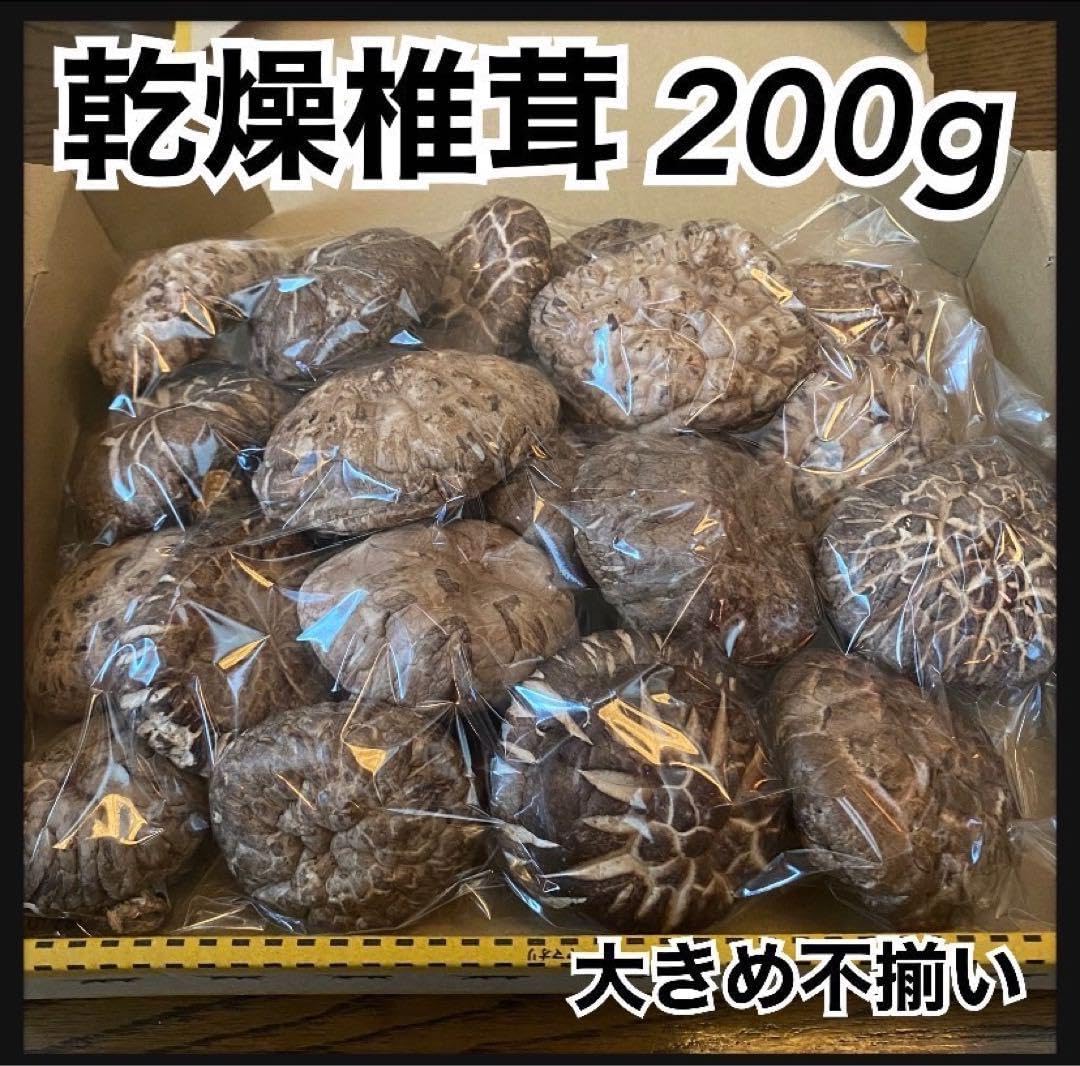 勅使河原宏 織部皿 いけばな草月流家元 盛皿 菓子器 勅使河原宏 織部皿