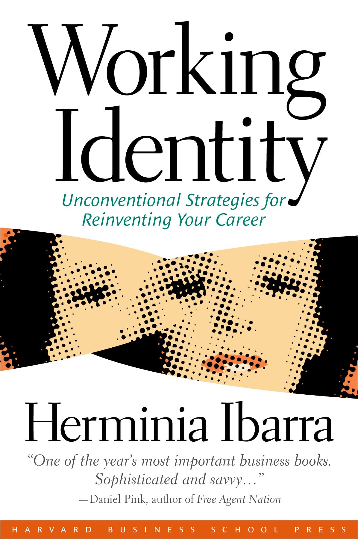 Capa Working Identity: Unconventional Strategies for Reinventing Your Career