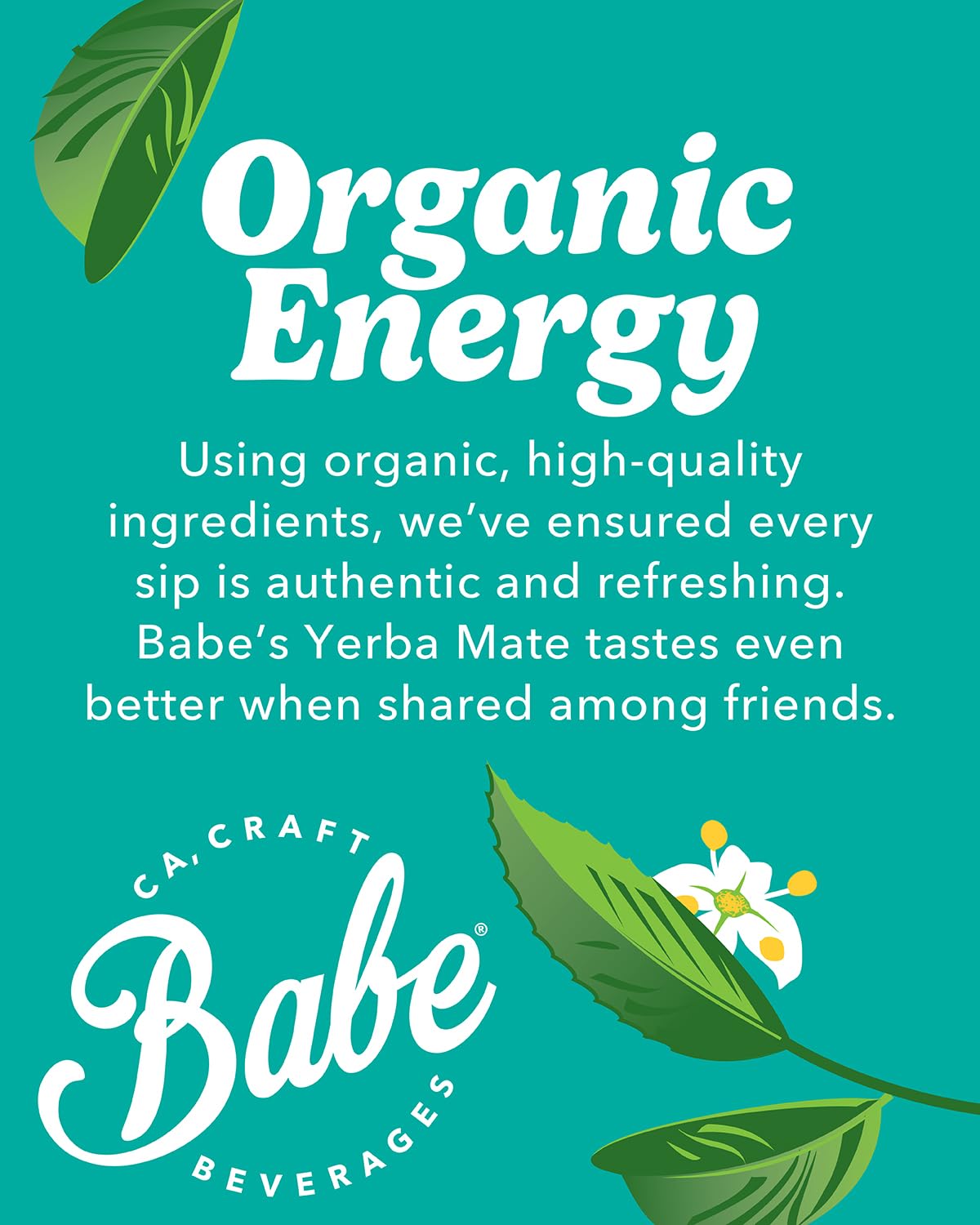 Babe Organic Yerba Mate Energy Drinks | 150mg Plant-Based Caffeine | Natural Yerba Mate Tea with No Crash, No Jitters - Sample Pack (6 x 16oz Cans)