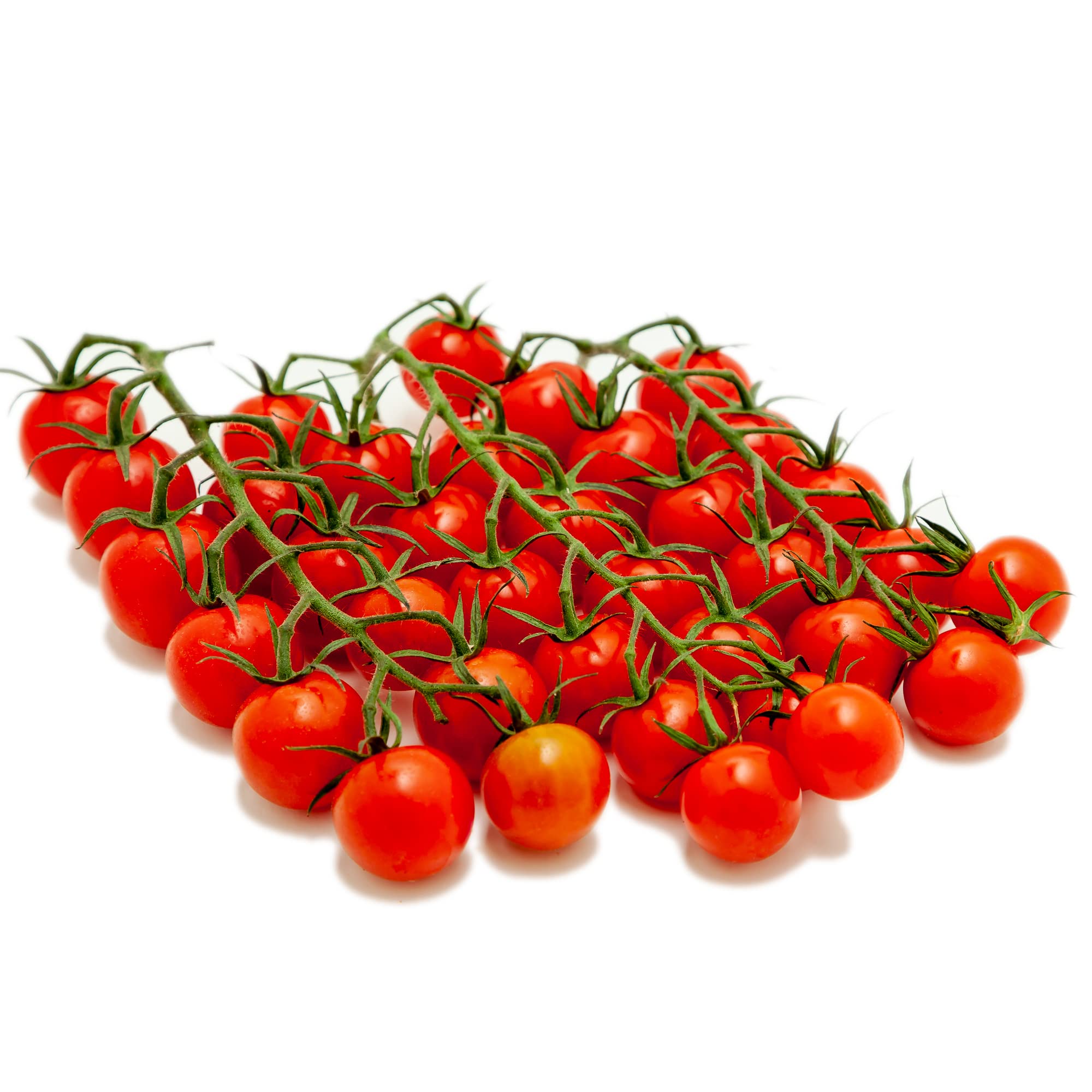 The Tomato Stall Piccolo Cherry Vine Tomatoes, 300g