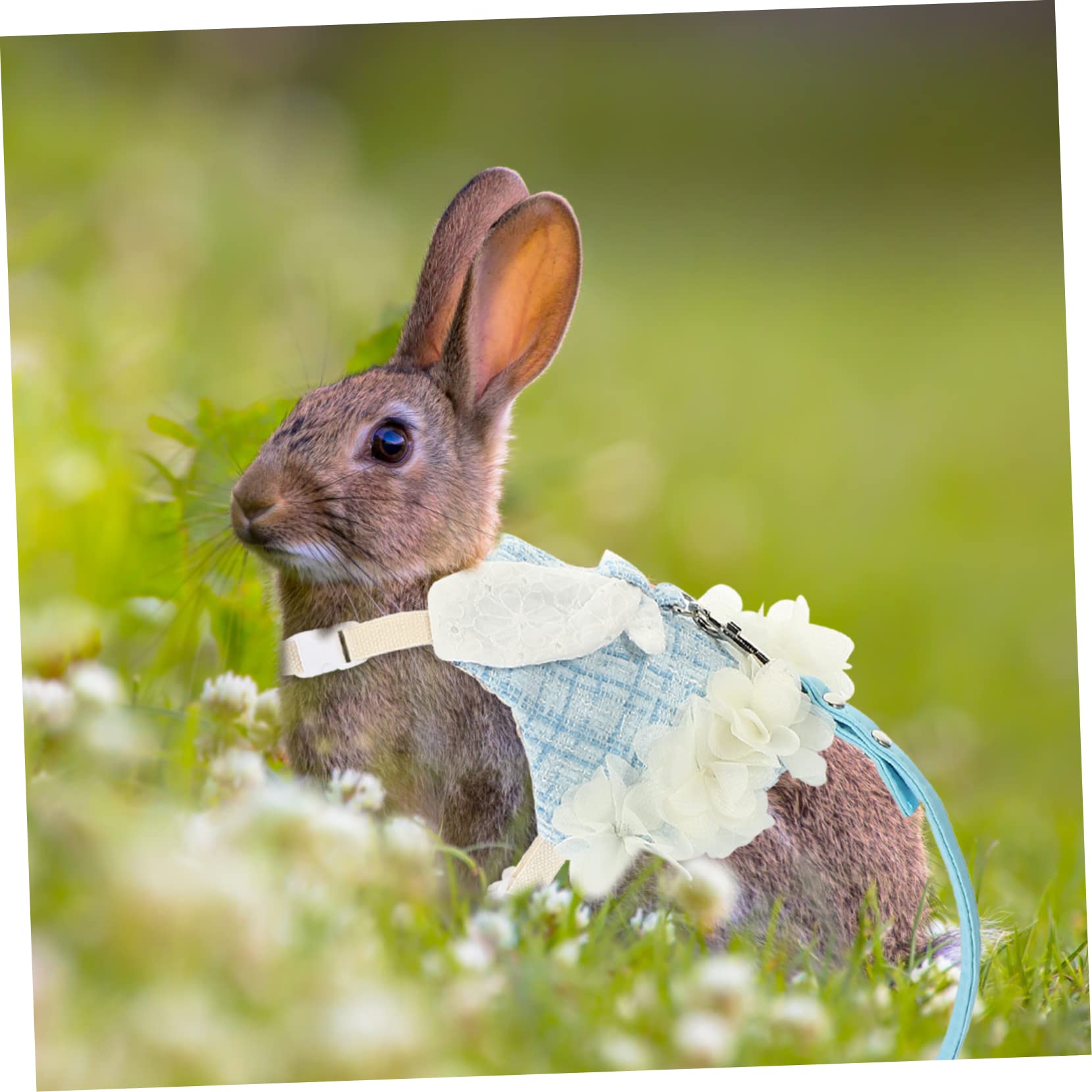 minkissy 3 Sets pet rabbit clothes bunny supplies bunny harness with leash pet rabbit costume Bunny Vest Harness guinea pig outdoor vest Bunny Decorative Dress apparel Xiaoxiangfeng cotton