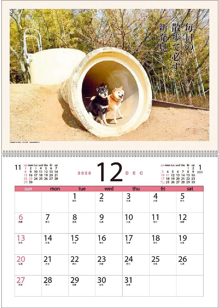 Amazon 21年 犬川柳カレンダー Vol 001 文房具 オフィス用品 文房具 オフィス用品