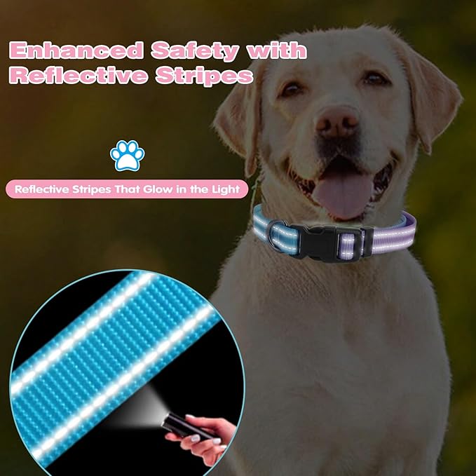 Collar Reflectante para Perro Ajustable Nailon Suave XS miniatura 4