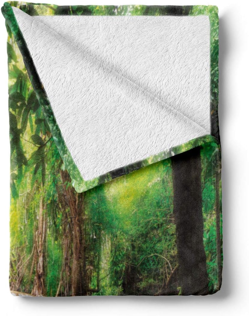 Lunarable Waterfall Throw Blanket, Waterfall in Tropical Forest Trees Thailand Kanjanaburi Sunny Day Image, Flannel Fleece Accent Piece Soft Couch Cover for Adults, 50" x 70", Green Brown White