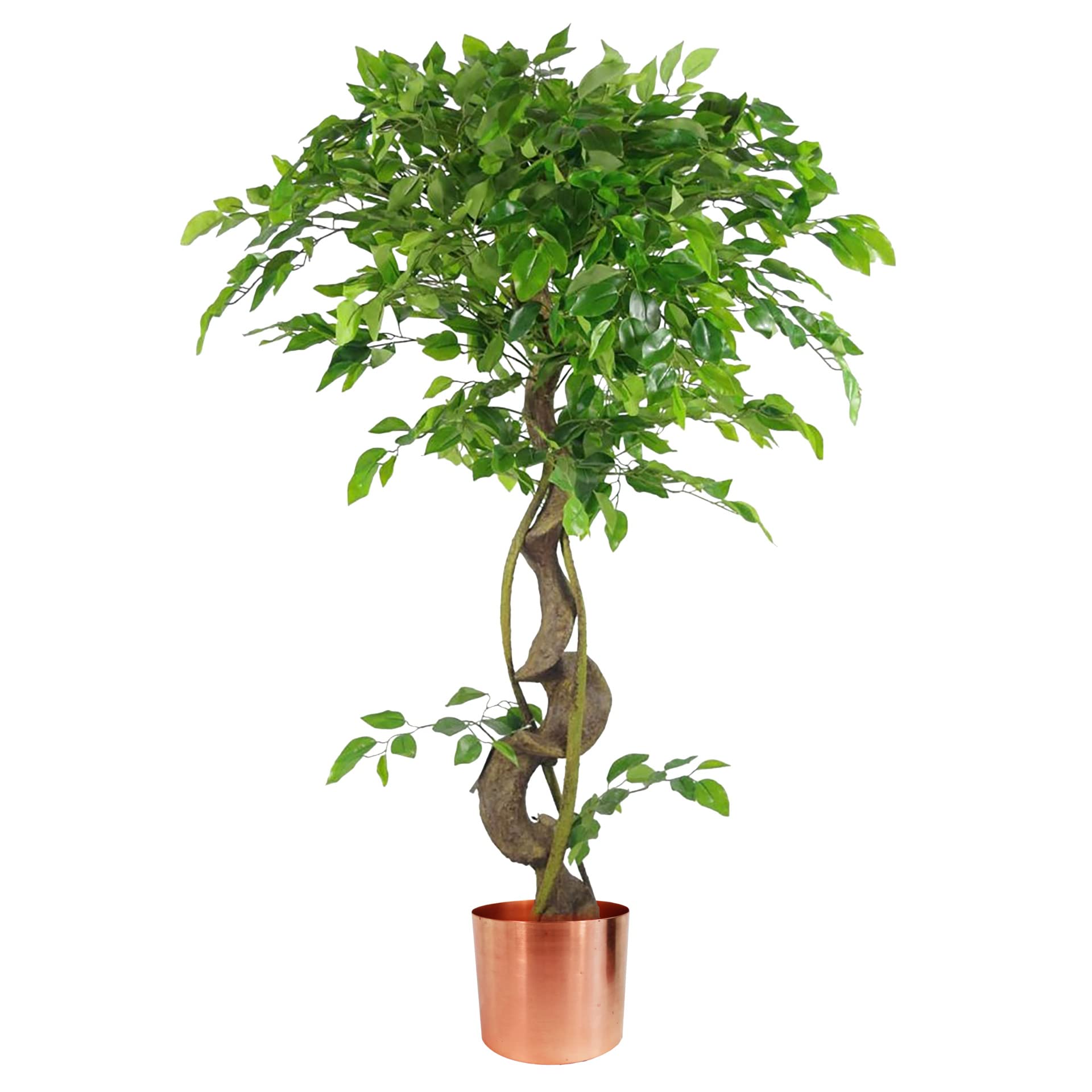 Leaf Japanese Fruticosa Ficus Artificial Tree 3.9ft Copper Planter - Green