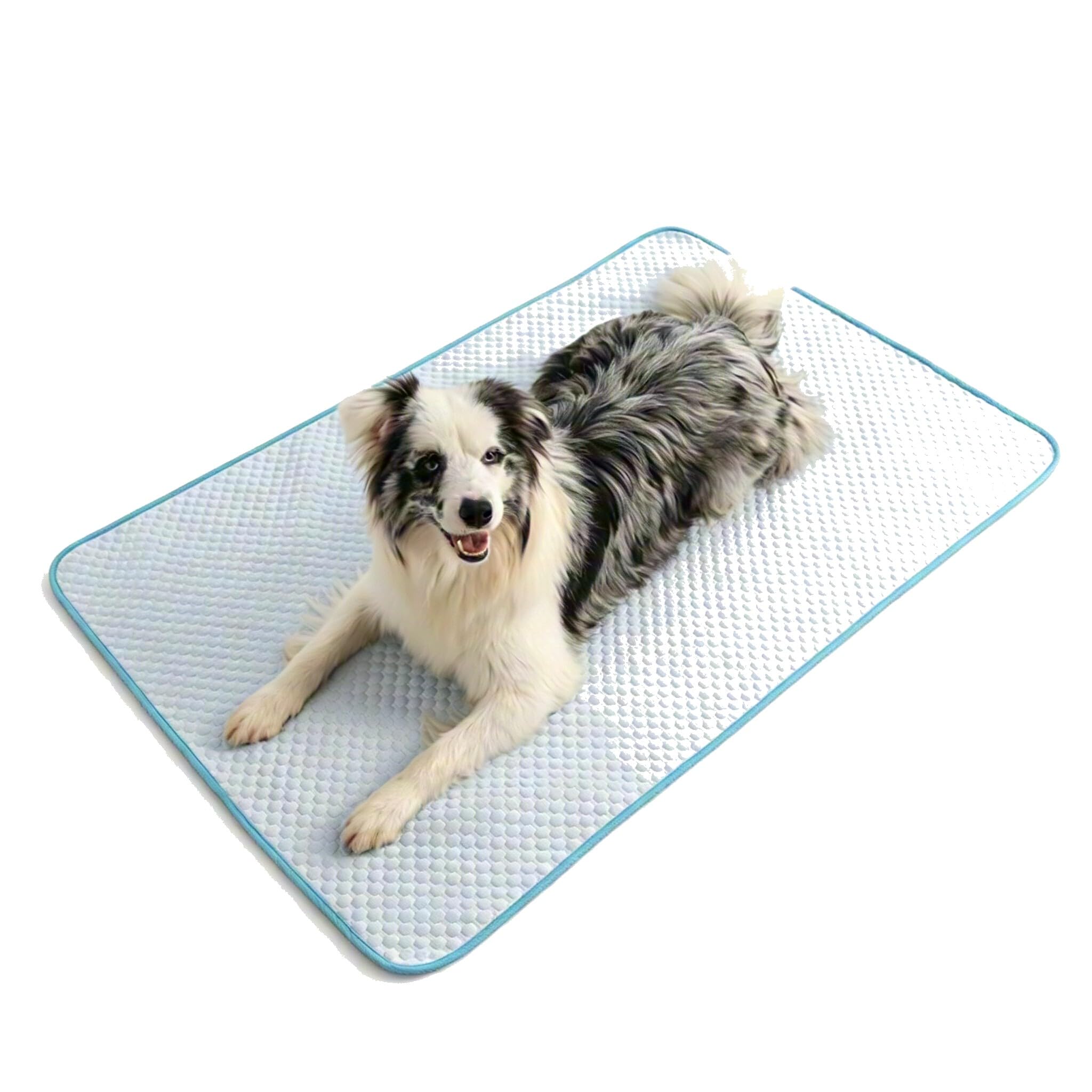 Tapis rafraîchissant en soie glacée pour chien imperméable lavable et antidérapant S-XL