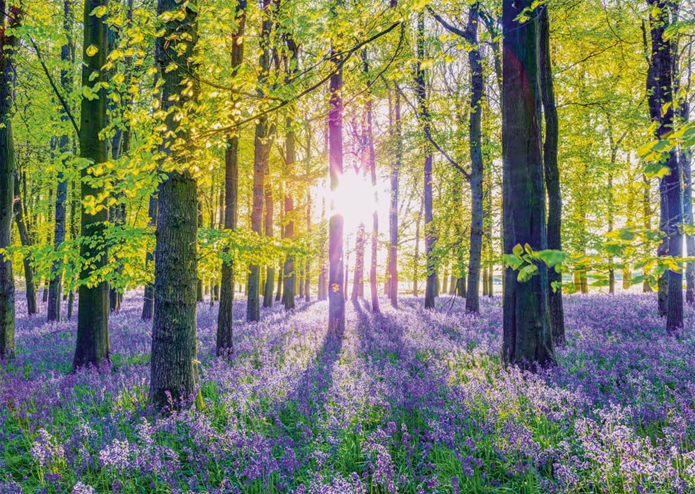 Schmidt Spiele 59767 Delicate Bellflowers in The Forest, 1000 Piece Puzzle