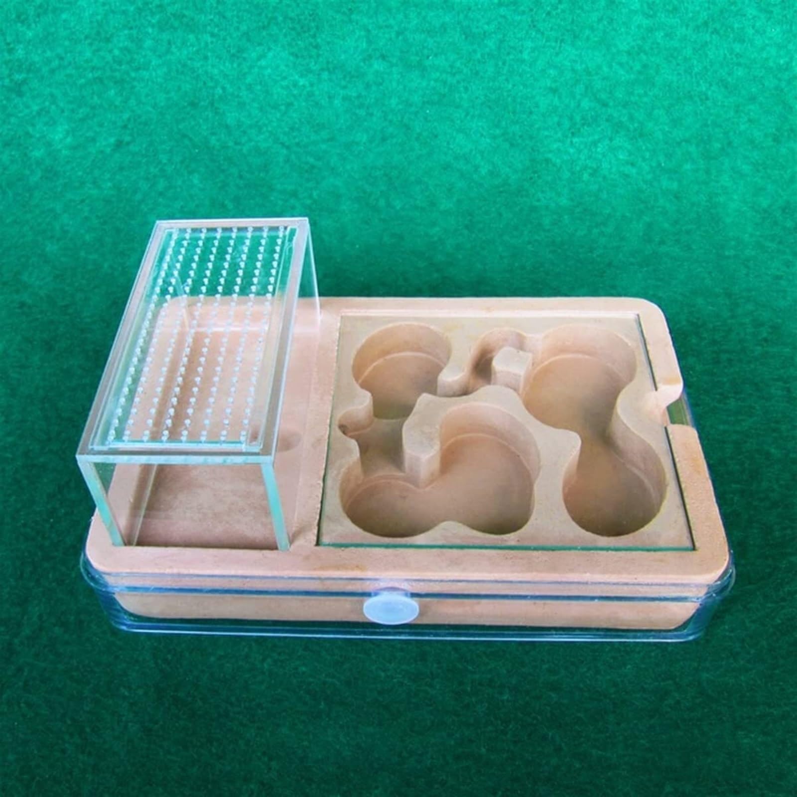 Formicarium Hormiga Castillo De Hormigas De PP para Hacer Uno Mismo, Sistema De Investigación sobre El Comportamiento De Las Hormigas, Granja De Hormigas Creativa Granja Hormigas