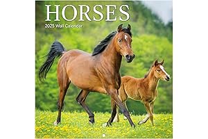 TURNER PHOTOGRAPHIC Horses Photo Mini Wall Calendar (25998950006): Stunning Equine Portraits for Every Month