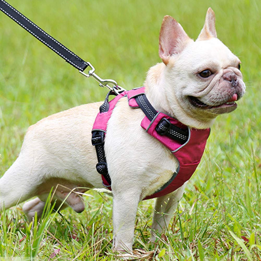 Cablaggio del Cane No Pull Riflettente Regolabile Imbottito Morbido Pet Gilet con Un Allenamento Maniglia, 2 Metal Ganci Guinzaglio per Le Piccole E Grandi Walking Dogs