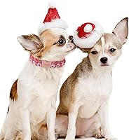 Vista 274 de Unique Style Paws - Collar rosa con hebilla de metal, duradero y lindo para perros pequeños a grandes