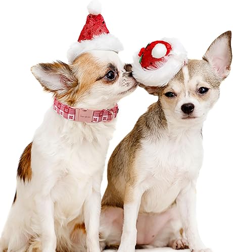 Miniatura 9 de Unique style paws Collar de perro con hebilla de metal, regalo para niños pequeños, medianos y grandes