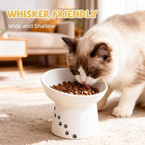 Miniatura 5 de Cuencos elevados para gatos, cuenco elevado de cerámica de 7 onzas, evita la fatiga del cuello y los bigotes, apto para lavavajillas y microondas,