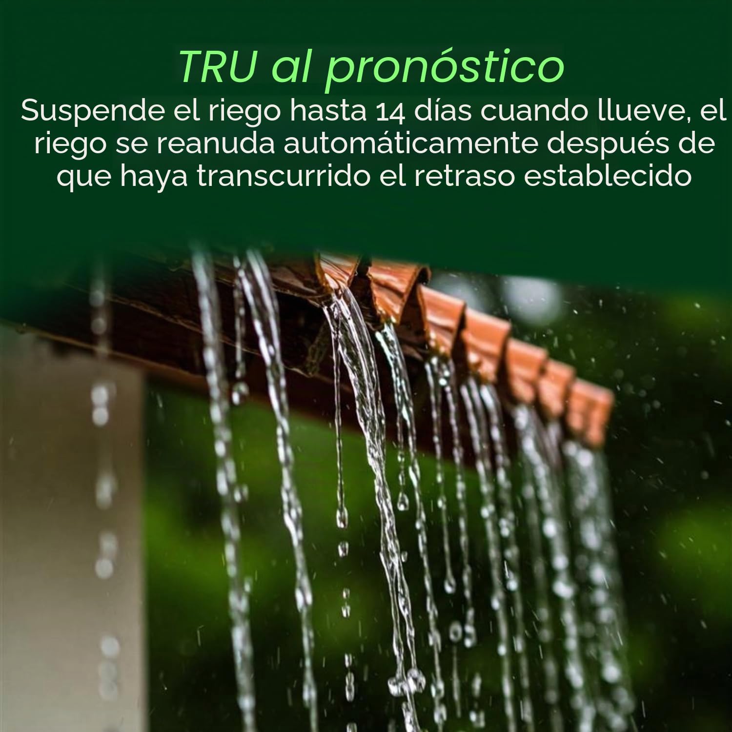 Rain Bird TRU6I Controlador/temporizador de riego de interior basado en programas, módulo WiFi listo, 6 zonas/estación