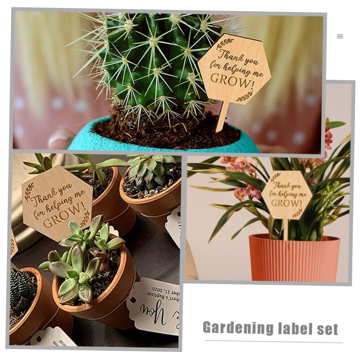 ibasenice 5 Ensembles Étiquette En Bois Étiquettes De Pépinière De Jardin Étiquettes De Plantes De Pépinière Toi Nom Pour Étiquettes De La Pot De Fleurs Étiquettes De Semis 40 Pièces * 5