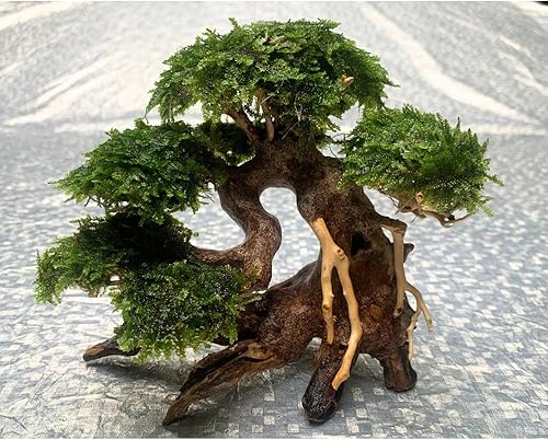 Miniatura 5 de Árbol de acuario bonsái de madera flotante (8 pulgadas de alto x 6 pulgadas de largo), decoración de pecera hecha a mano  Bonsái de madera flotante
