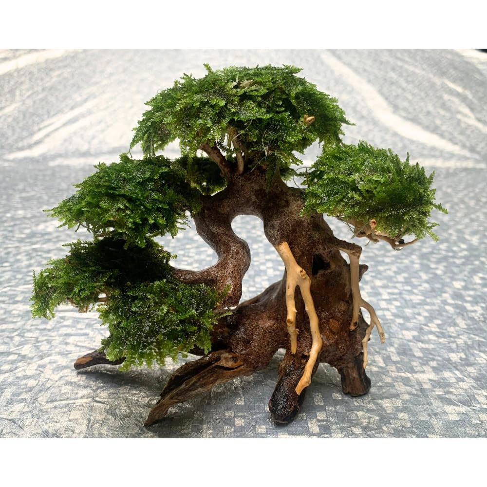Bonsai per acquario, decorazione in legno artificiale fatto a mano, bonsai acquatico per la casa (Bonsai)