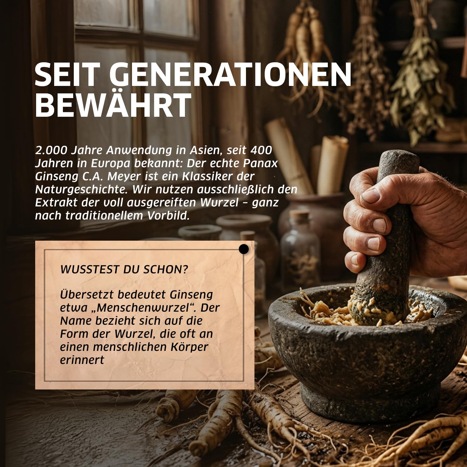 ORZAX Panax Ginseng C.A. Meyer – 1000mg Hochdosiert – 30% Ginsenoside – 120 Kapseln – Original Koreanischer Ginseng Wurzel-Extrakt – Vegan & Laborgeprüft