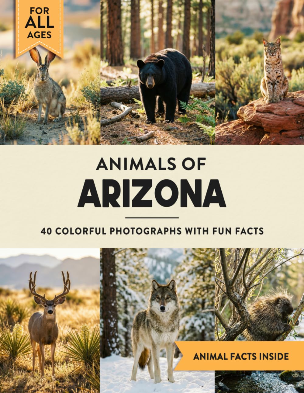 Animals of Arizona: Learn All About Grand Canyon State Wildlife in a Fun Fact Picture Book for Kids and Adults