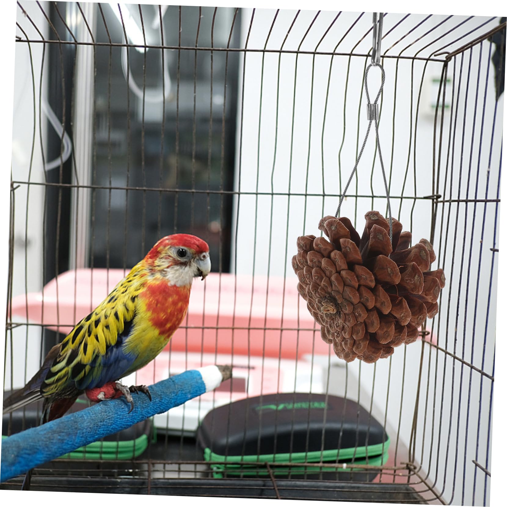 ABOOFAN 20pièces Jouet à Mâcher pour Oiseaux Pigne Naturelle Accessoire De Jeu Suspendu pour Perruches Et Cockatiels pour Forage Et Enrichissement