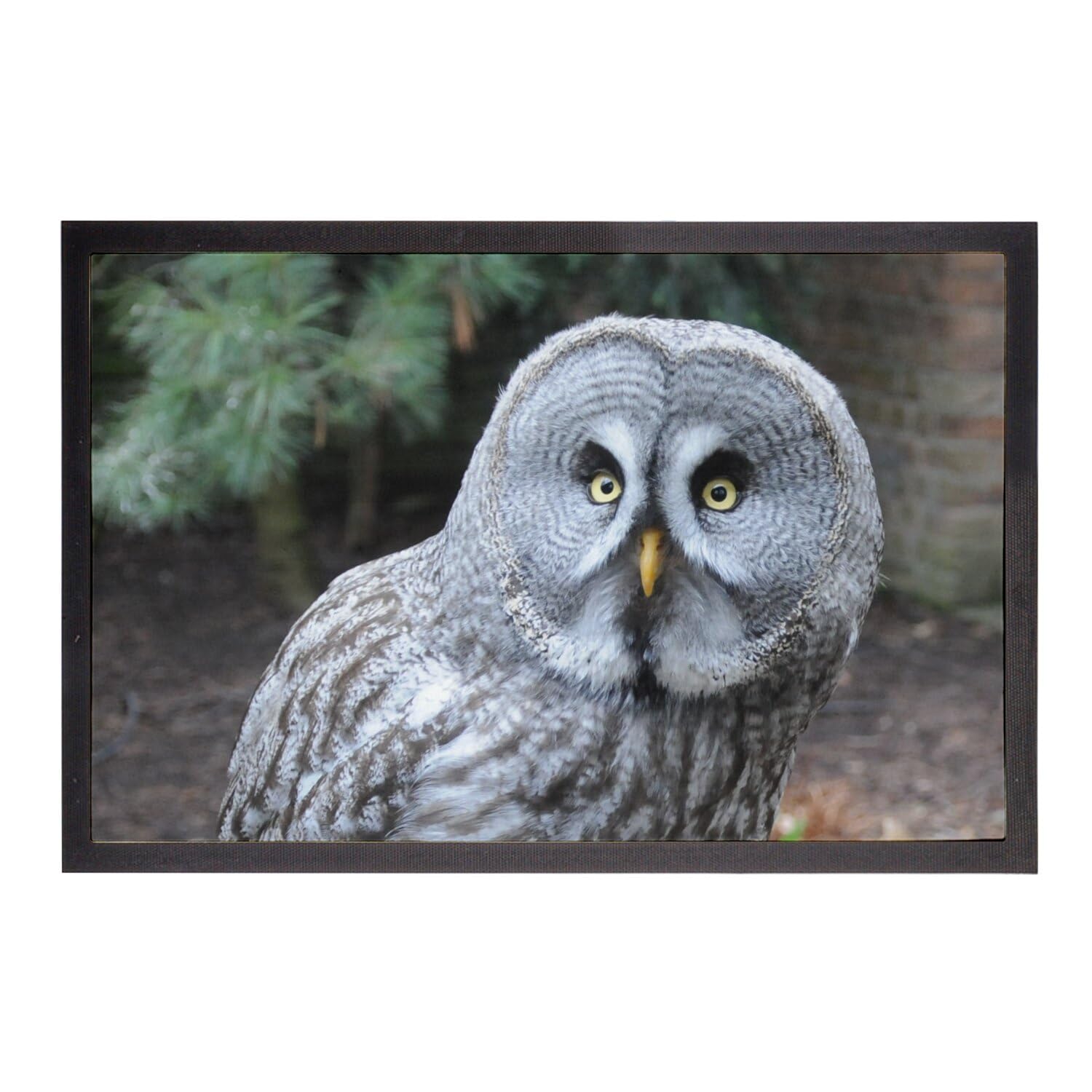 Paillasson Grande Chouette Lapone 60x40cm tapis d'entrée oiseau cendre