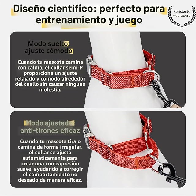 Foto 8 de 8 de SEOUGEE Martingale - Collar de perro personalizado, de nailon reflectante, a prueba de escapes, antitirones…