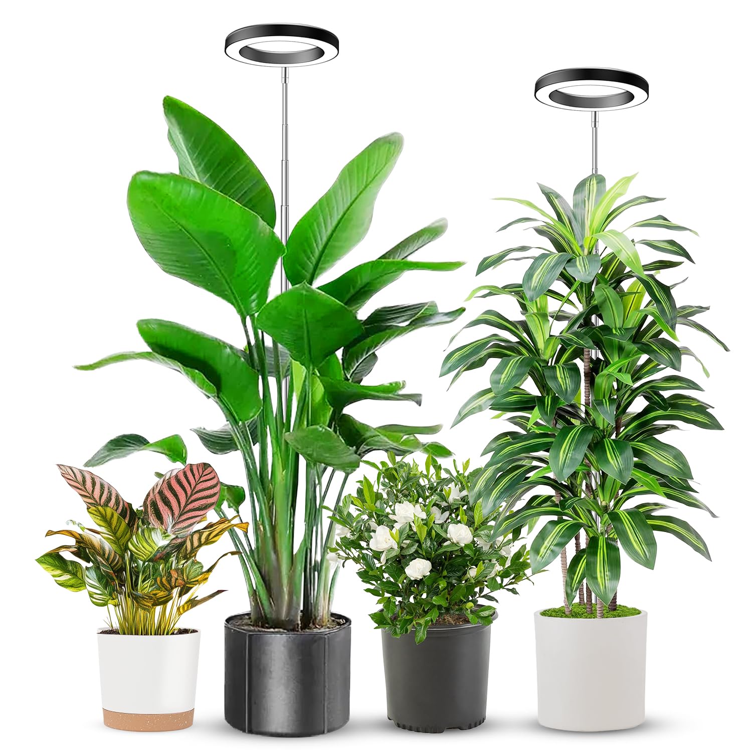 Aokrean 6.3in Grow Light,Full Spectrum Plant Light for Indoor Growing 5V/3A