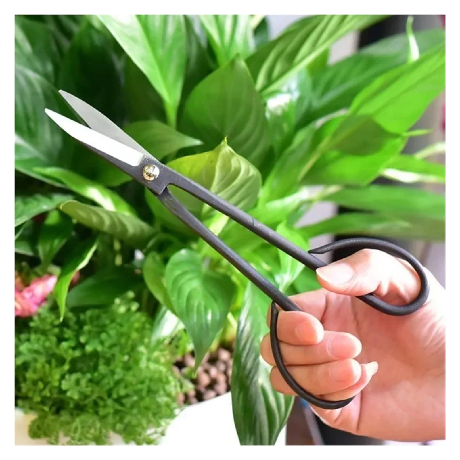 Tijeras for bonsái de mango largo 20 cm - podar jardín for recortar plantas y ramas
