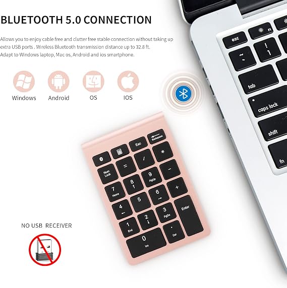 Bluetooth Number Pad, 22 Keys Numeric Keypad with Shortcut Keys, Portable 10-Key Financial Accounting Keyboard for Laptop PC Desktop - Rose