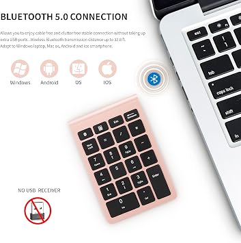 Bluetooth Number Pad, 22 Keys Numeric Keypad with Shortcut Keys, Portable 10-Key Financial Accounting Keyboard for Laptop PC Desktop - Rose