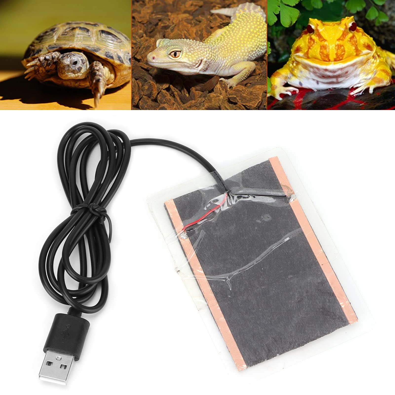 USB Heating Film, Uses a USB Plug Low Power Moistureproof and Folding Heat Pad for Reptiles for Reptile for Daily for Outdoors for Home