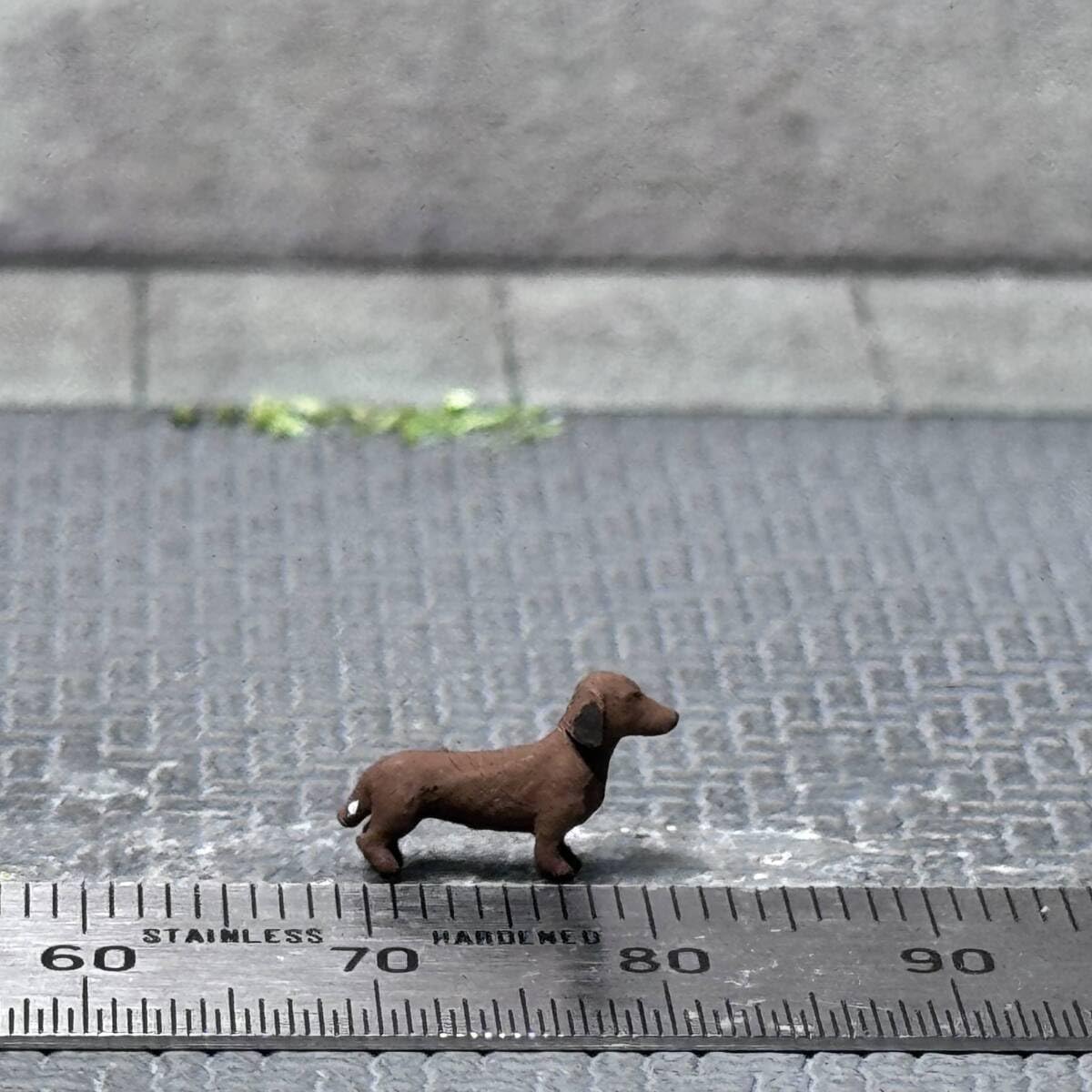 Amazon.co.jp: 1/64 スケール ダックスフント イヌ 犬 ペット