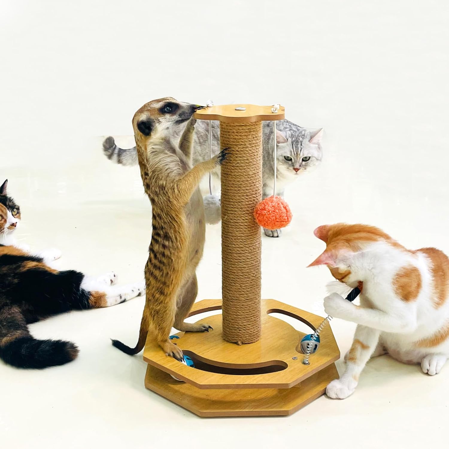 Cat Scratching Post, Scratching Post with Vertical Scratcher and Tracking Interactive Toy for Kittens