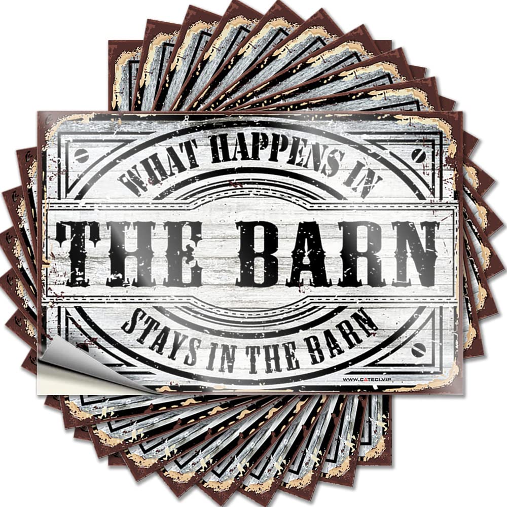 What Happens in The Barn Stays in The Barn Lettering Sticker Guys Self Adhesive | Smiley Face Garage Vinyl Sticker Pack for Science(12X18CM)
